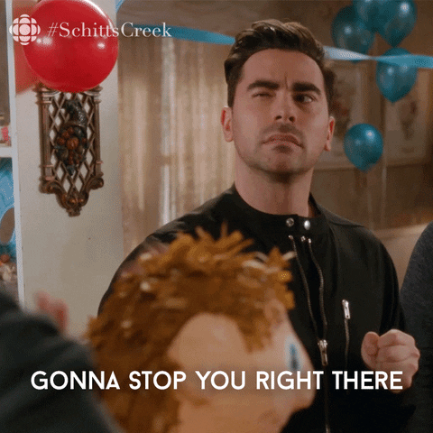 Schitt’s Creek GIF of David saying “Gonna stop you right there,” Colie’s reaction to Mori’s old booking process before setting up Dubsado for designers.